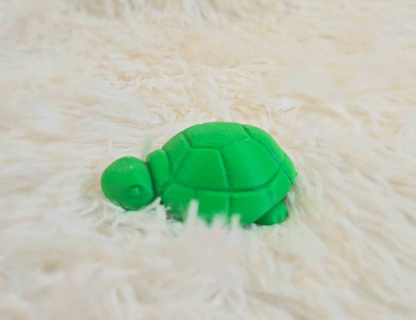 Turtle