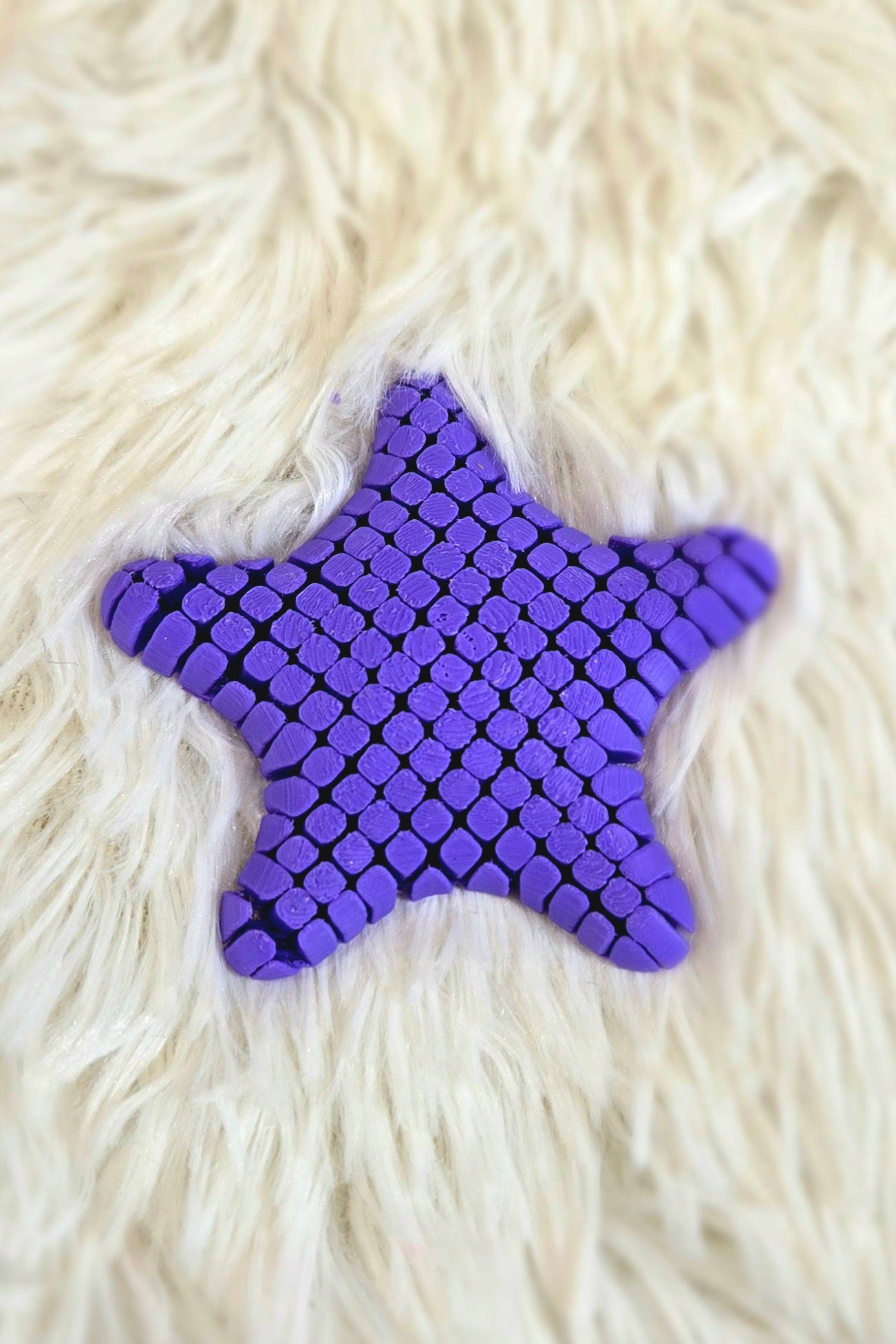 Mini Fidget Starfish
