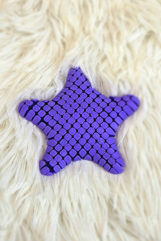 Mini Fidget Starfish